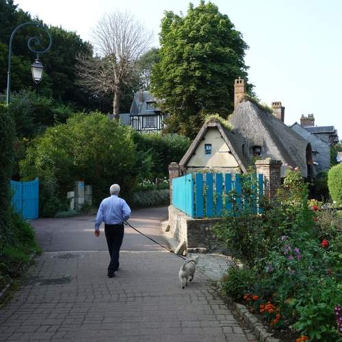 Photo #13147718