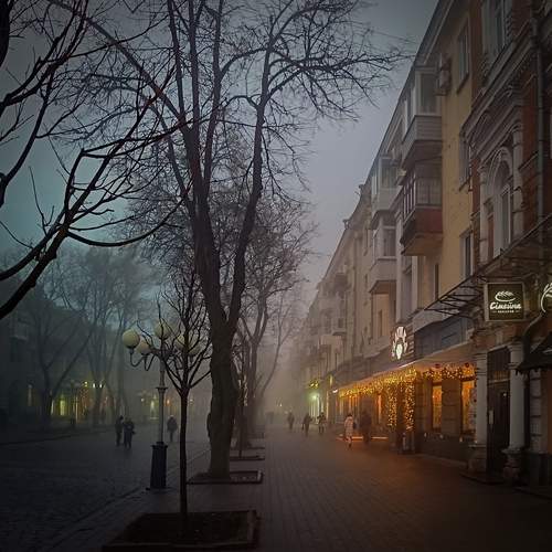 Photo #13147797