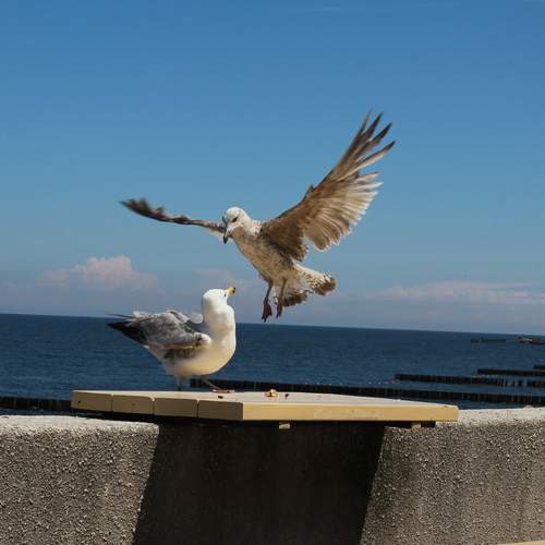Photo #13147824