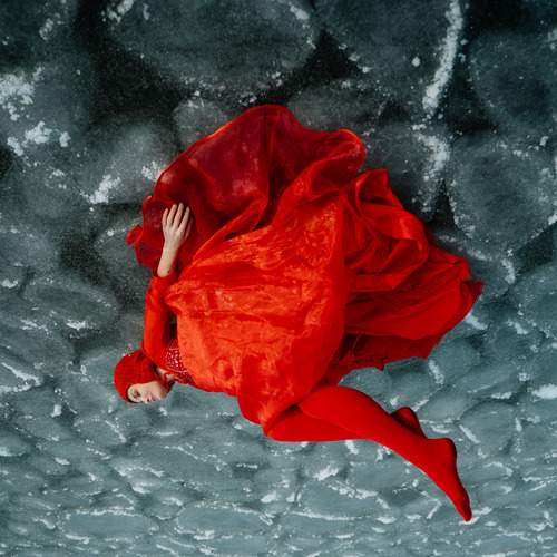 Photo #13147975