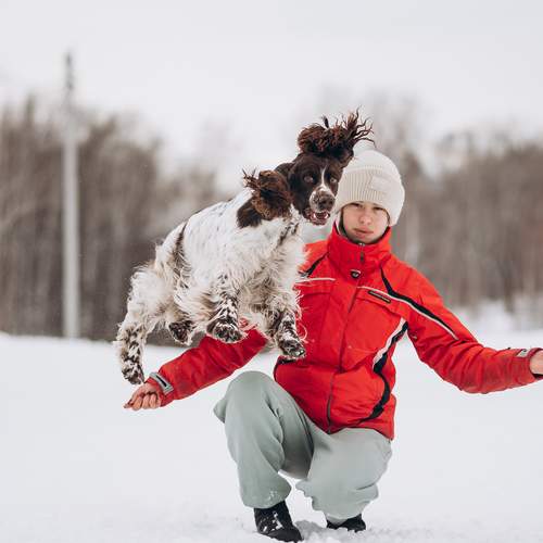 Photo #13148046