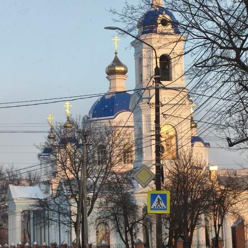 Photo #13148069