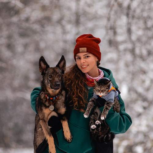 Photo #13148164