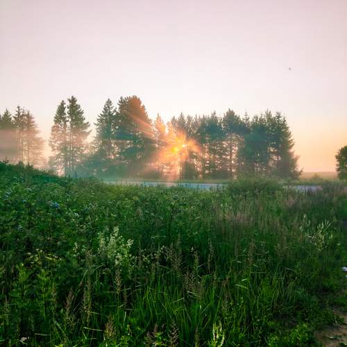 Photo #13148183