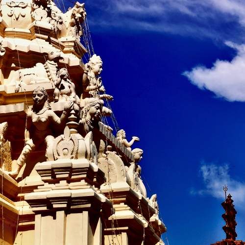 Photo #13148346