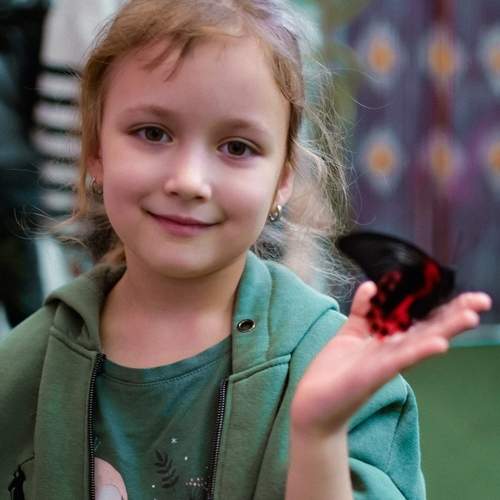Photo #13148447