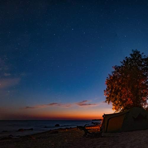 Photo #13148556