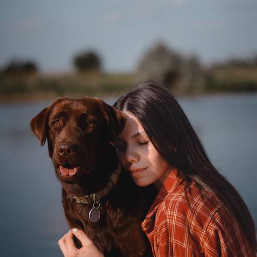 Photo #13148601