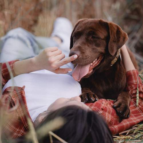 Photo #13148605