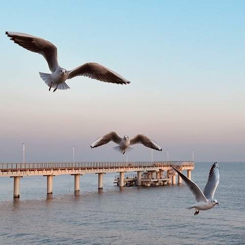 Photo #13148664