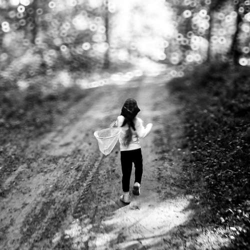 Chasing the Light
