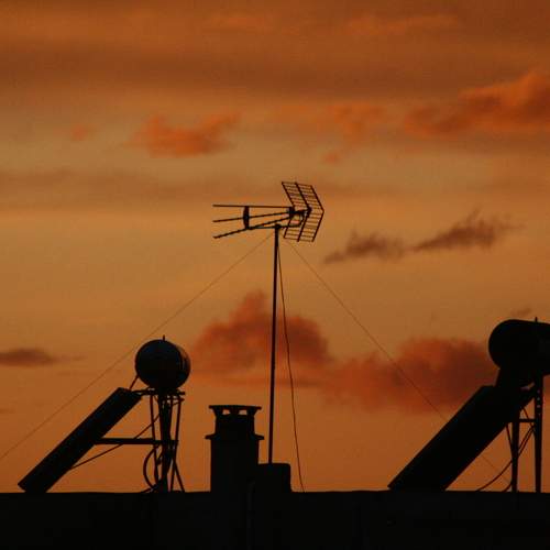 Photo #13148923
