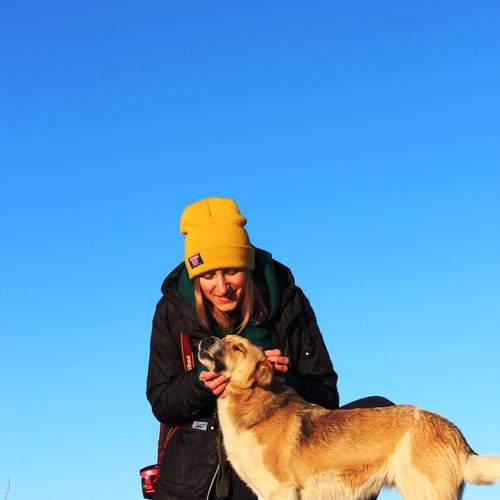 Photo #13149159
