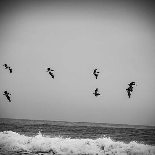 Photo #13149260