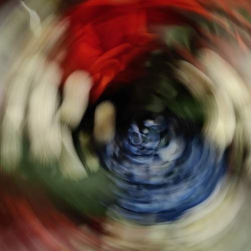 Photo #13149290