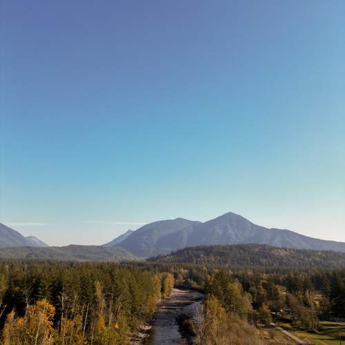 Photo #13149366