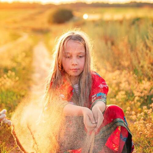 Photo #13149612