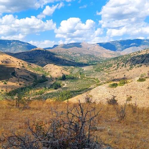 Photo #13149633