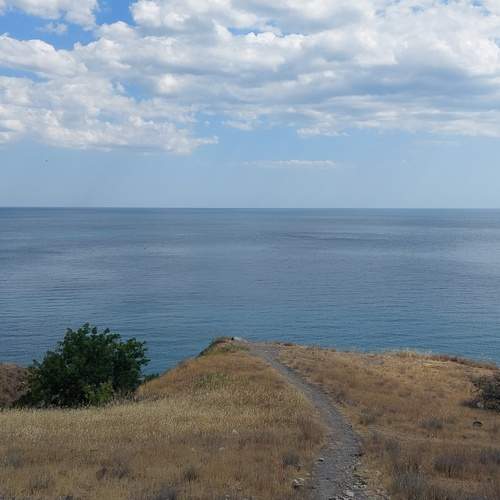 Photo #13149723