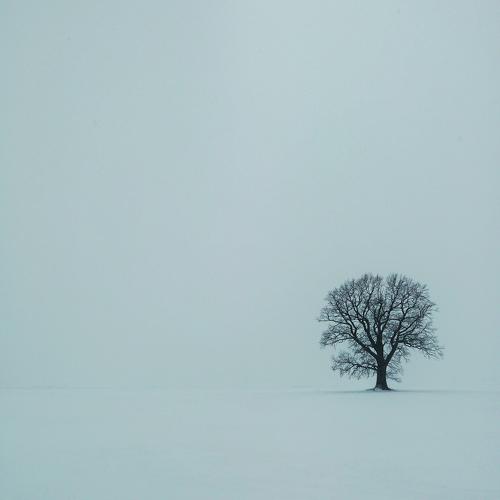 Alone and free