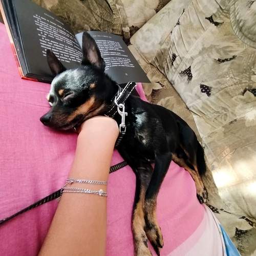 Photo #13150048