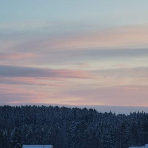 Photo #13150215