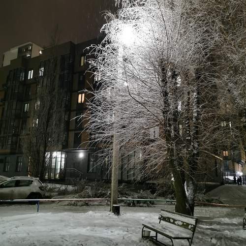 Photo #13150241