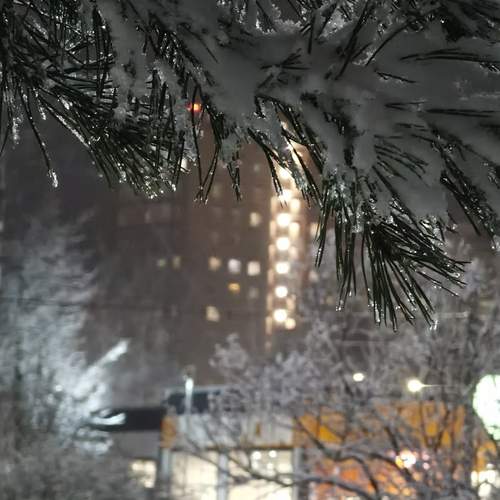 Photo #13150243