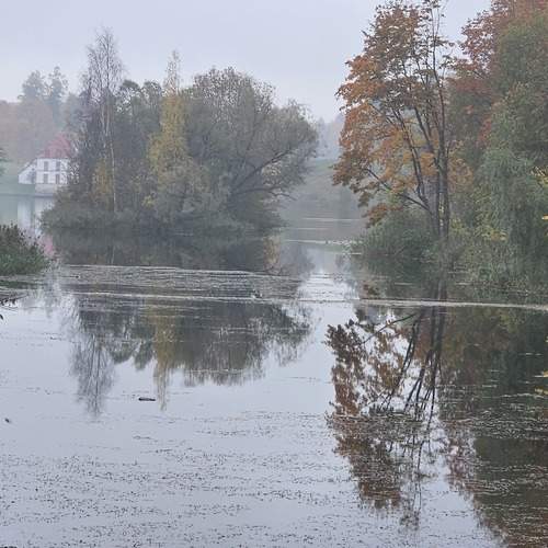Photo #13150258