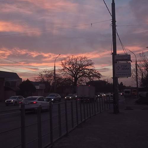 Photo #13150278