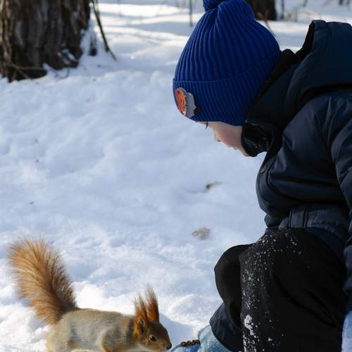 Photo #13150339