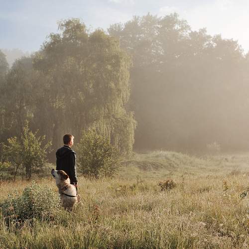 На рассвете