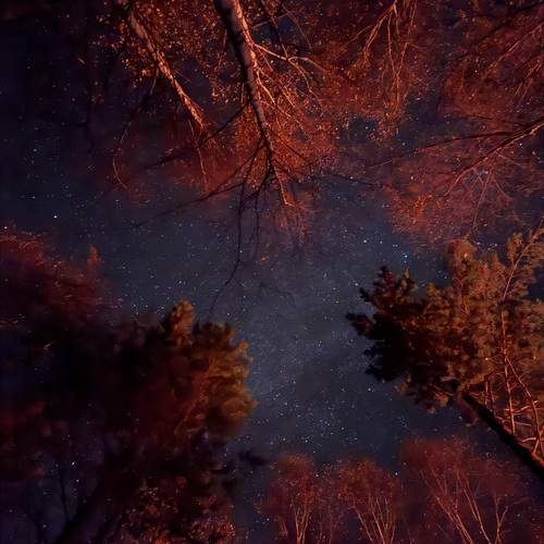 Photo #13150417