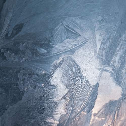 Photo #13150608