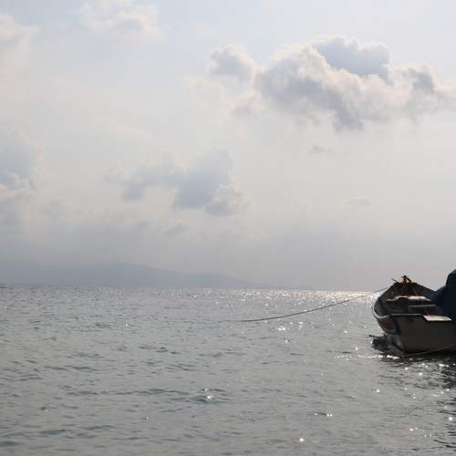 Photo #13150686