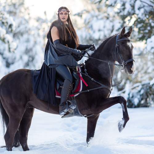 Photo #13150718