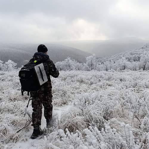 Photo #13150928