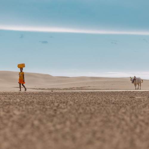 Photo #13151020