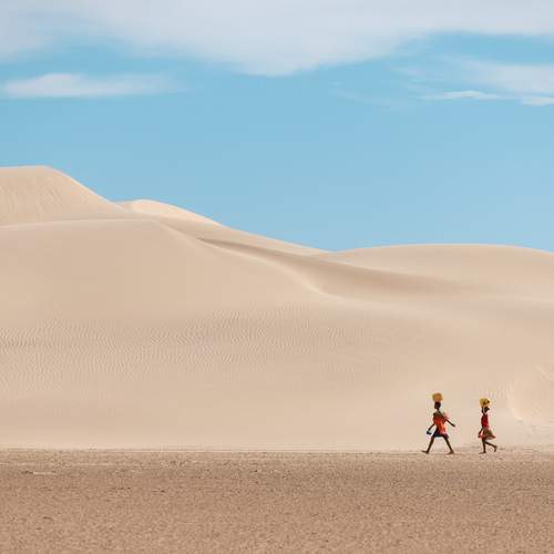 Photo #13151054
