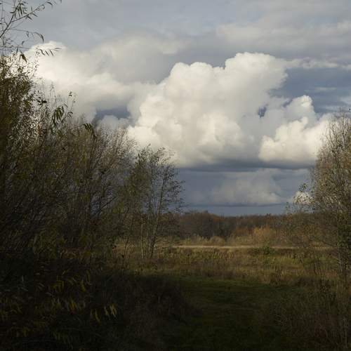 Photo #13151143