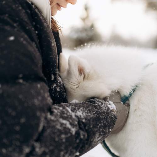 Photo #13151163