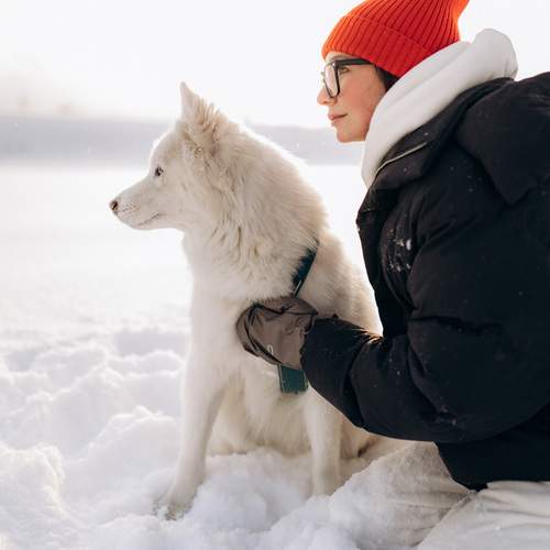 Photo #13151164