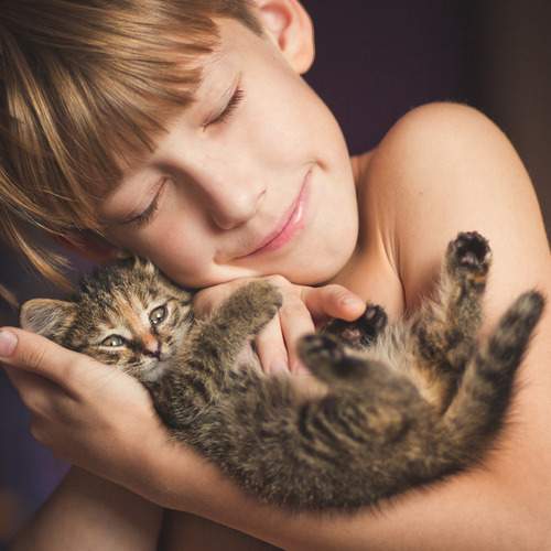 Photo #13151200