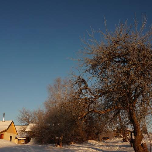 Photo #13151253