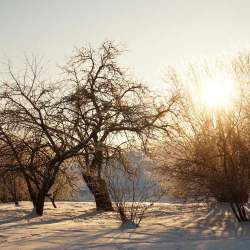 Photo #13151272