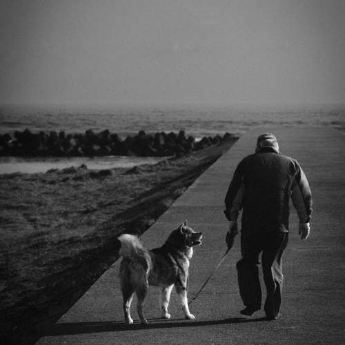Walking Together