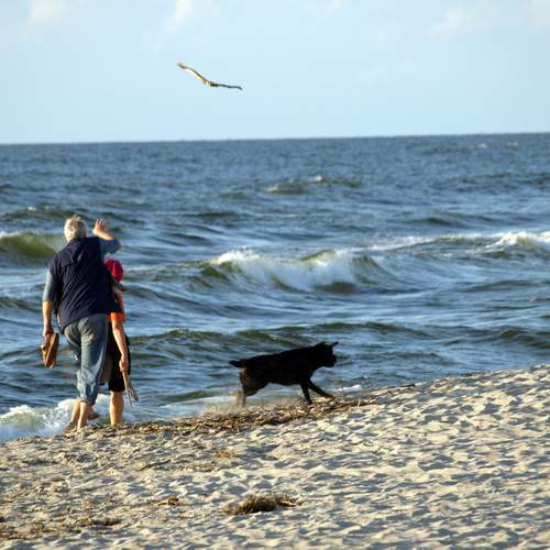 Photo #13151494