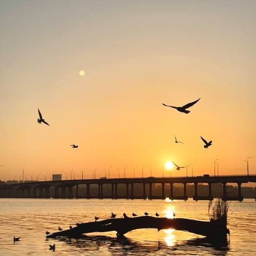 Photo #13151758