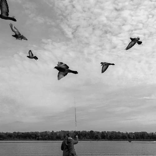 Photo #13151762