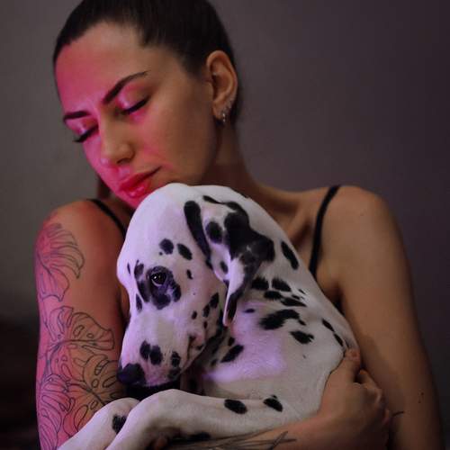 Photo #13151766